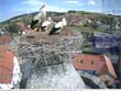 Storchenturm Vacha, Vacha